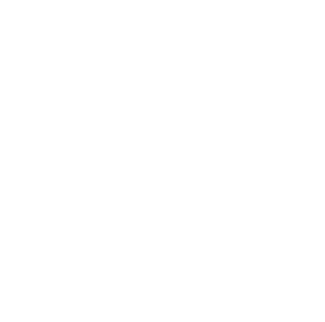 Icon Krankenhaus